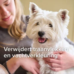 Beaphar Traansmeer Remover (Tränenfleck-Entferner) -Myd Pet Geschaft s6lm0cvw6FEq0DTmpddJDph1QsAVas metaVHJhYW5zbWVlci1yZW1vdmVyLTUuanBn