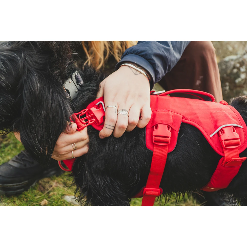Ruffwear Webmaster Harness 14 Ruffwear Webmaster Harness – Bild 14