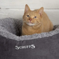 Scruffs Cosy Katzenbett 8 Scruffs Cosy Katzenbett -Myd Pet Geschaft scruffs cosy kattenmand 209588 2000 none