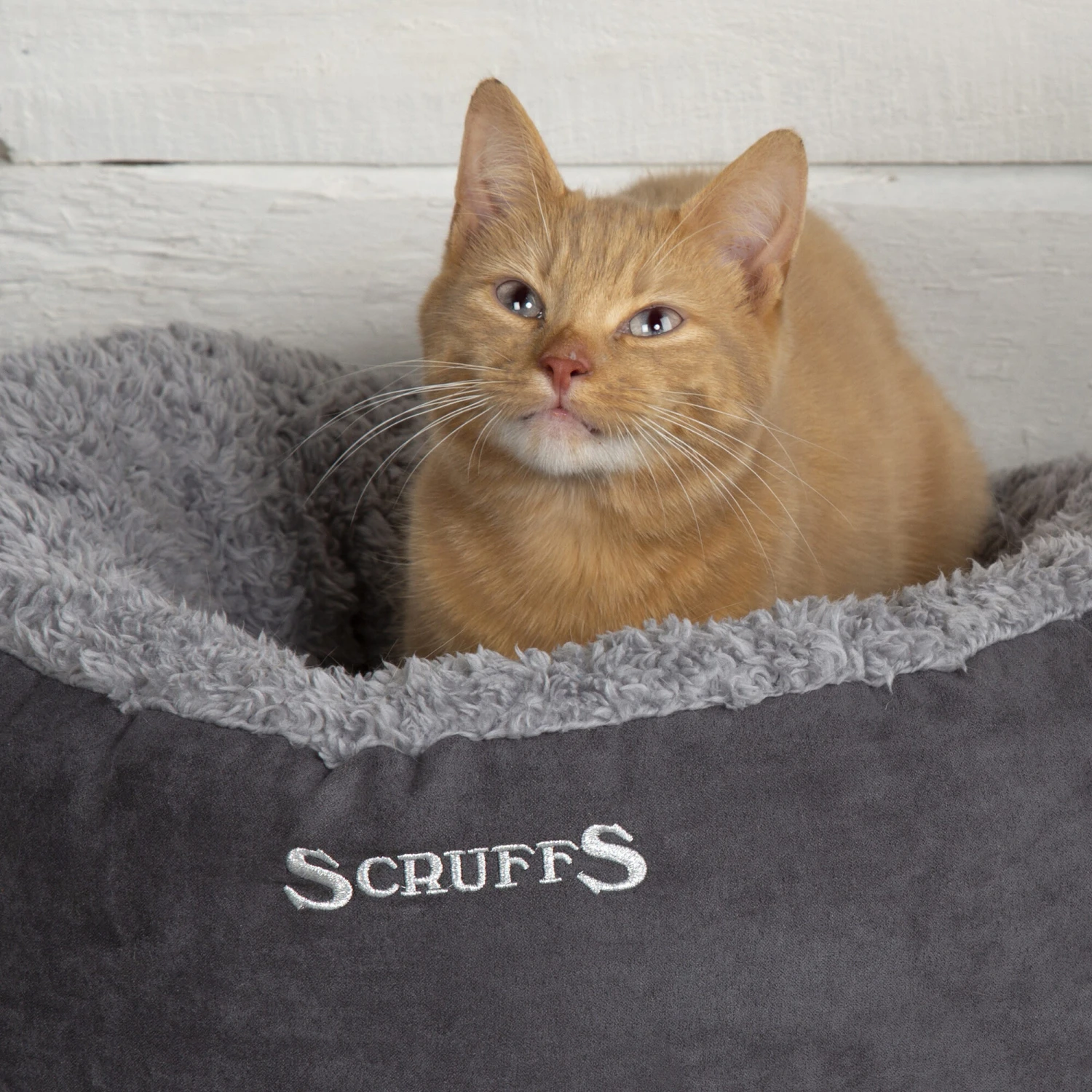 Scruffs Cosy Katzenbett 3 Scruffs Cosy Katzenbett – Bild 3