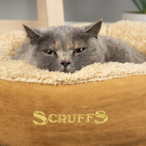 Scruffs Cosy Katzenbett -Myd Pet Geschaft scruffs cosy kattenmand 209594 2000 none