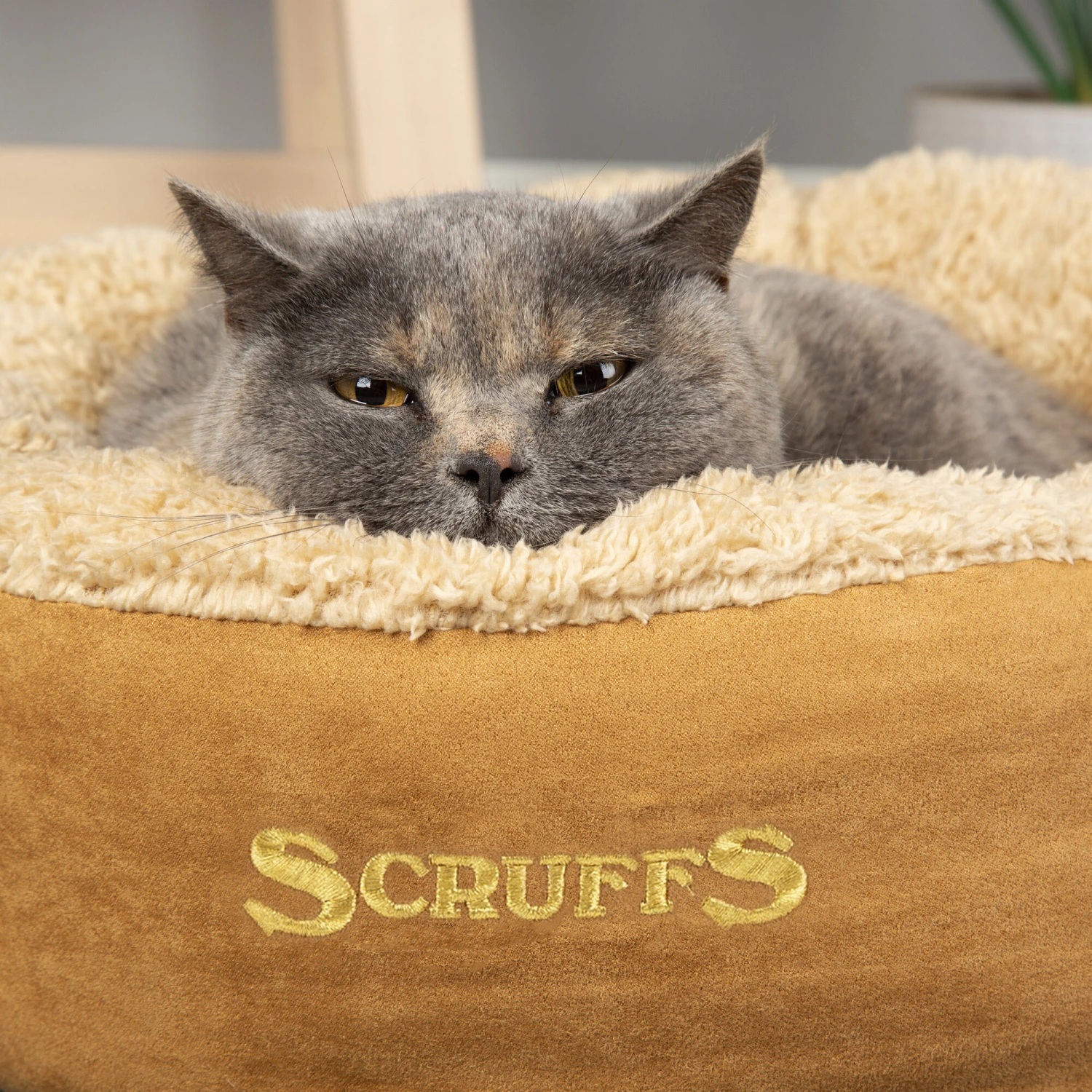 Scruffs Cosy Katzenbett 5 Scruffs Cosy Katzenbett – Bild 5