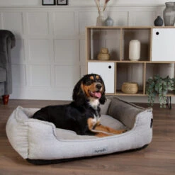 Scruffs Harvard Orthopädisches Boxbett -Myd Pet Geschaft scruffs harvard orthopedisch box bed 226543 0500 none