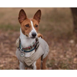 Spotted! Pro Dog & Cat -Myd Pet Geschaft spotted pro dog cat 166918 0500 none