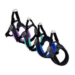 Tre Ponti Fibbia Mesh Verstellbar 11 Tre Ponti Fibbia Mesh Verstellbar -Myd Pet Geschaft tre ponti fibbia mesh verstelbaar 224299 1000 none