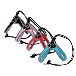 Tre Ponti Liberta Reflexion -Myd Pet Geschaft tre ponti liberta reflectie 224302 1000 none