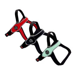 Tre Ponti Primo Reflexion -Myd Pet Geschaft tre ponti primo reflectie 224300 1000 none