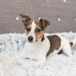 Trixie Polster-Schondecke Harvey