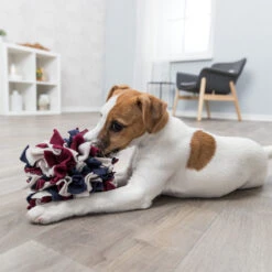 Trixie Dog Activity Schnüffelball 6 Trixie Dog Activity Schnüffelball -Myd Pet Geschaft trixie dog activity snuffelbal 180751 1500 none