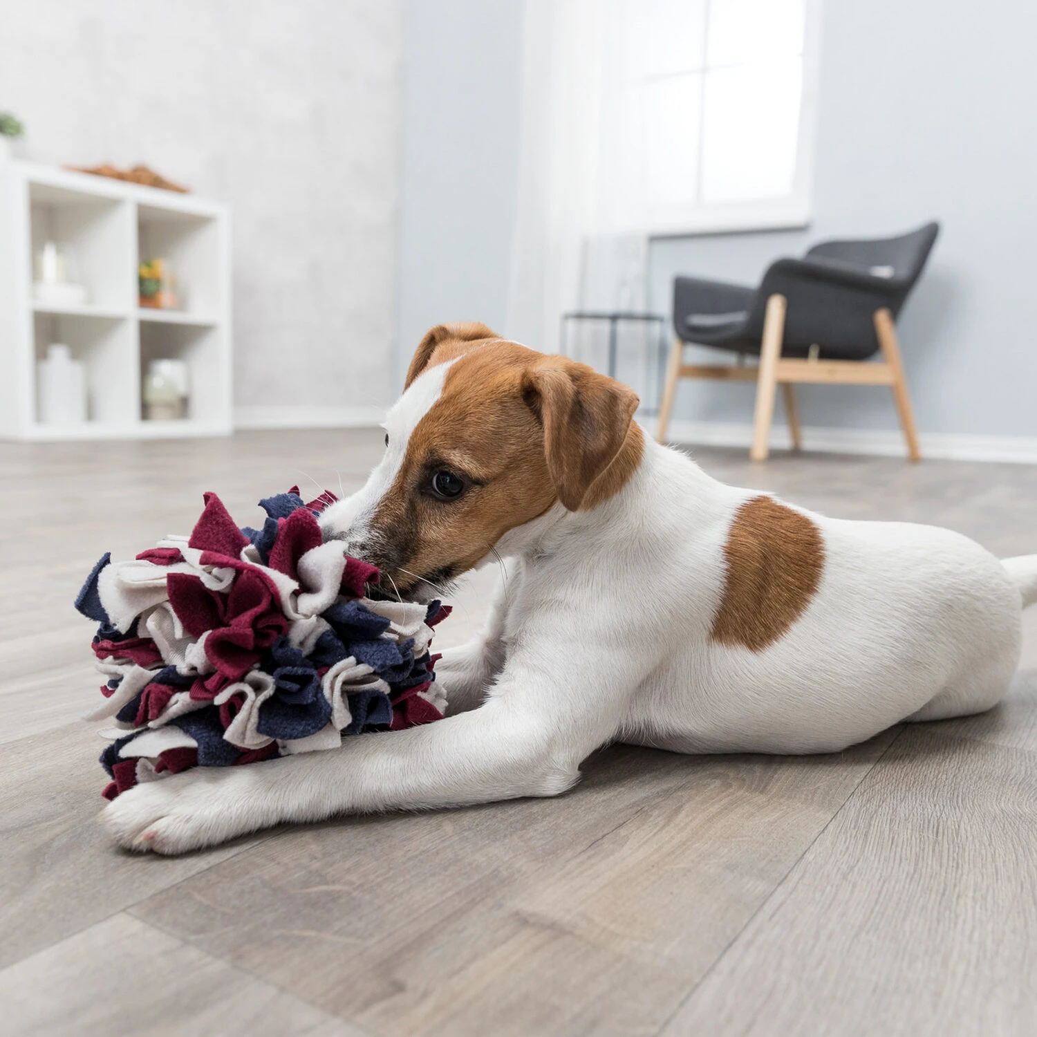 Trixie Dog Activity Schnüffelball 3 Trixie Dog Activity Schnüffelball – Bild 3