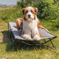 Trixie Campingkorb - Groß 6 Trixie Campingkorb - Groß -Myd Pet Geschaft trixie kampeermand 229566 0500 none