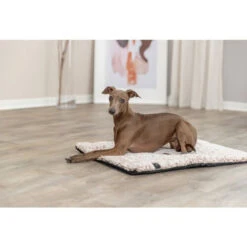 Trixie Liegematte Calida -Myd Pet Geschaft trixie ligmat calida 226684 0500 none