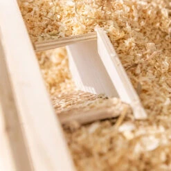 Trixie Beobachtungsbox 16 Trixie Beobachtungsbox -Myd Pet Geschaft trixie observatievak 229593 0500 none