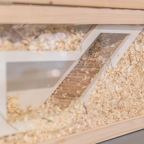 Trixie Beobachtungsbox 6 Trixie Beobachtungsbox – Bild 6