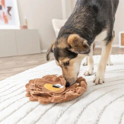 Trixie Snacklöwe -Myd Pet Geschaft trixie snackleeuw 229652 0500 none