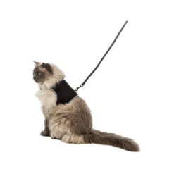 Trixie Softgeschirr Mit Leine -Myd Pet Geschaft trixie soft tuig met riem 179881 1500 none