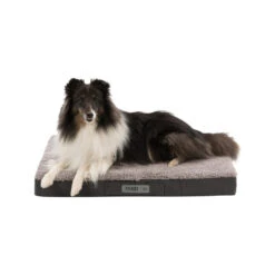 Trixie Vital Matratze Bendson -Myd Pet Geschaft trixie vitaal matras bendson donkergrijslichtgrijs 178369 1000 none