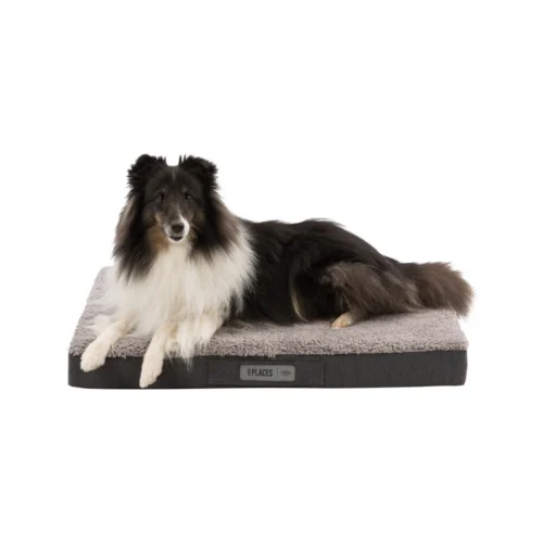 Trixie Vital Matratze Bendson -Myd Pet Geschaft trixie vitaal matras bendson donkergrijslichtgrijs 178369 1000 none