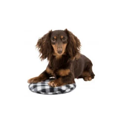 Trixie Wärmekissen 7 Trixie Wärmekissen -Myd Pet Geschaft trixie warmtekussen 145868 1000 none