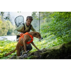 Ruffwear Webmaster Harness 26 Ruffwear Webmaster Harness -Myd Pet Geschaft uZG6rJgeIYmdLZvDZ6fivhPQE8IaXX metaUnVmZndlYXItV2ViLU1hc3Rlci1IYXJuZXNzLW5pZXV3LTEuanBn