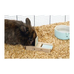 Beeztees Braingame Dorix -Myd Pet Geschaft uiczGlWzVLb8zlwXPo7QGCPDHas6xS metaQnJhaW5nYW1lLURvcml4LS5qcGc