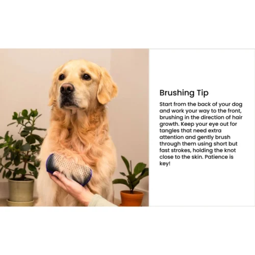 Tangle® Teezer Pet Teezer De-Shedding Bürste -Myd Pet Geschaft v8wsHtIBbYzP1LBIVRDb01sxzMeEpx metaUGV0VGVlemVyLURlLXNoZWRkaW5nLXBhYXJzLW5pZXV3ZS1hZmJlZWxkaW5nLTMuanBn