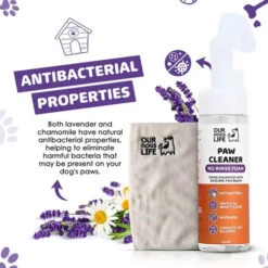 DogsLife Pfotenreiniger 16 DogsLife Pfotenreiniger -Myd Pet Geschaft vFBRaLs8csA4i8KfIBVEYjNIDwnwDk metacGF3Y2xlYW5lci0zLmpwZw