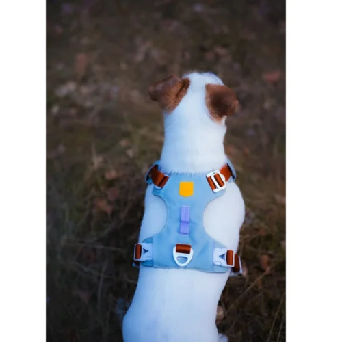 Woolly Wolf Alpha 360 Geschirr 15 Woolly Wolf Alpha 360 Geschirr -Myd Pet Geschaft woolly wolf alpha 360 harnas 224867 1000 none