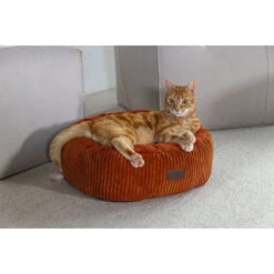 Designed By Lotte Ribbed Katzenkorb -Myd Pet Geschaft wzkHWa6F1uSvyHV4r5uQr71YiHOUzU metaRGVzaWduZWQtQnktTG90dGUtUmliYmVkLUxpZ2JlZC1UZXJyYWNvdHRhLTEuanBn