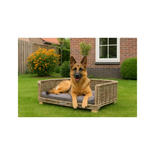 51 Degrees North Rattan Bed 11 51 Degrees North Rattan Bed -Myd Pet Geschaft x72mhAWd3SOvarNaRWyhRms8Dn28YX metacHJvZHVjdGJveC1tZWRwZXRzMjAwMC5qcGc