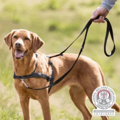 Trixie Lead'n Walk Soft Hundegeschirr -Myd Pet Geschaft xONz5Ht57WAltcsbk0Y1I9smDxOy6d metaVHJpeGllLUxlYWQnbi1XYWxrLVNvZnQtSG9uZGVudHVpZy1TZmVlci5wbmc