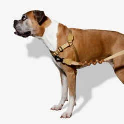 Zee.Dog Soft Walk Harness 16 Zee.Dog Soft Walk Harness -Myd Pet Geschaft zeedog soft walk harness 200678 1000 none