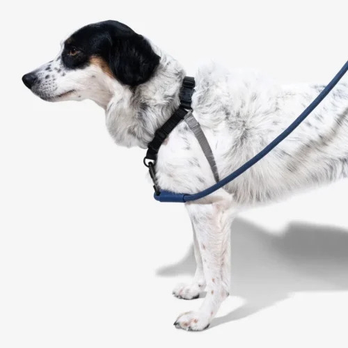 Zee.Dog Soft Walk Harness 18 Zee.Dog Soft Walk Harness -Myd Pet Geschaft zeedog soft walk harness 200684 1000 none